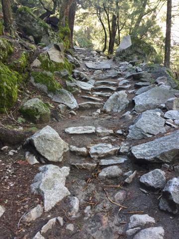 Yosemite Hike Footpath