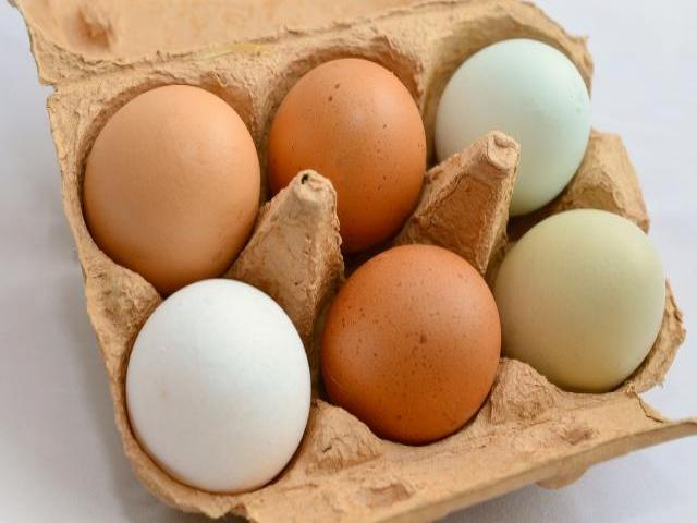Picture of eggs