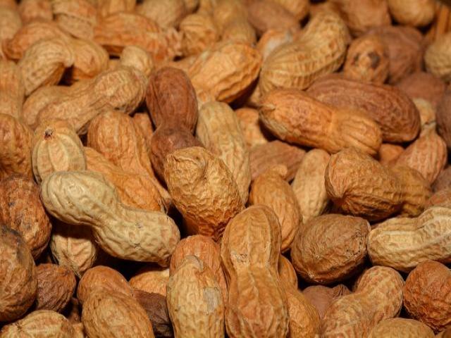 Picture of peanuts