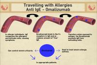Travelling with Allergies Omalizumab Infographic